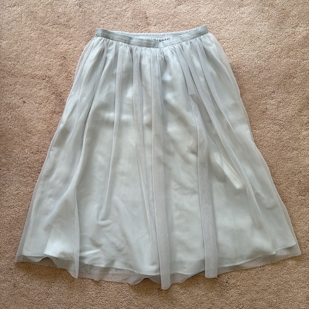 Zara tulle skirt